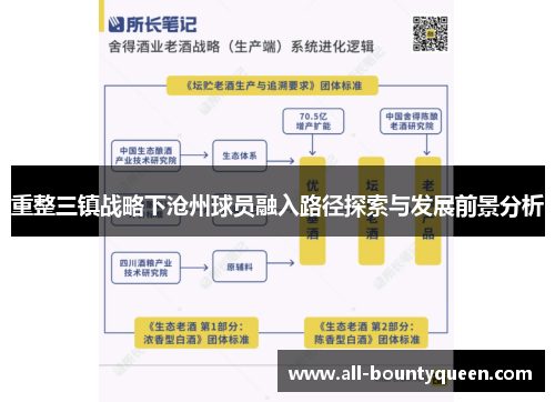 重整三镇战略下沧州球员融入路径探索与发展前景分析