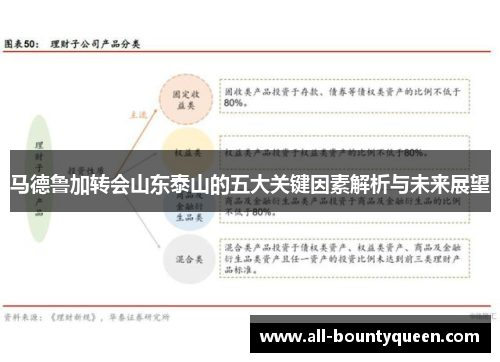 马德鲁加转会山东泰山的五大关键因素解析与未来展望